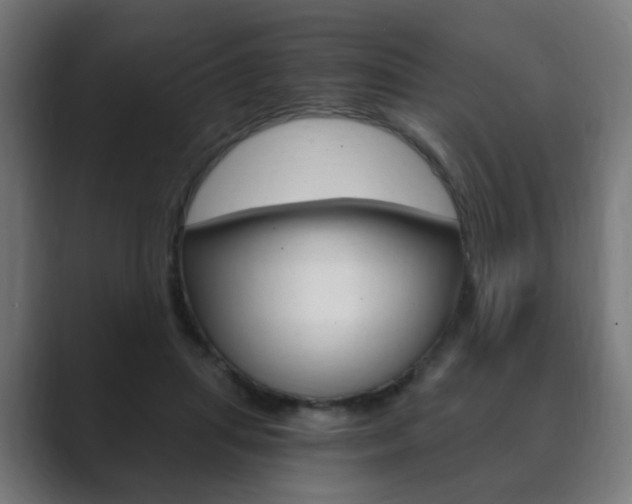 X0000089850455200706281024
