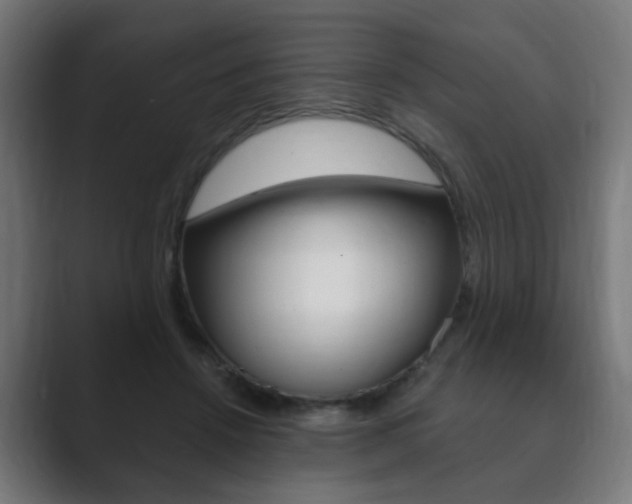 X0000089850456200706281024