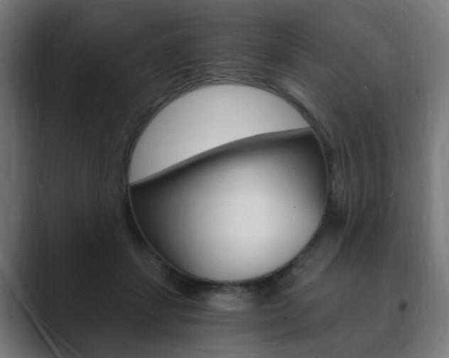 X0000089850459200706281024