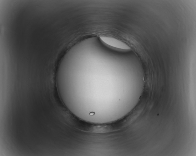 X0000089850461200706281024