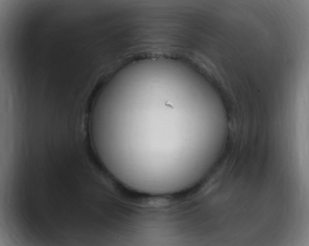 X0000089850462200706281024