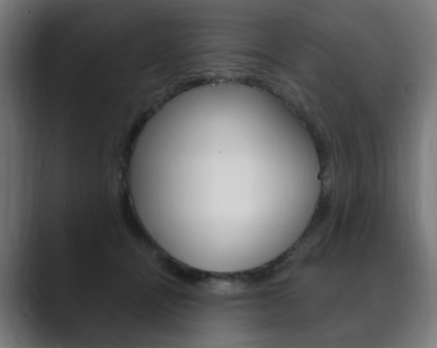 X0000089850464200706281024