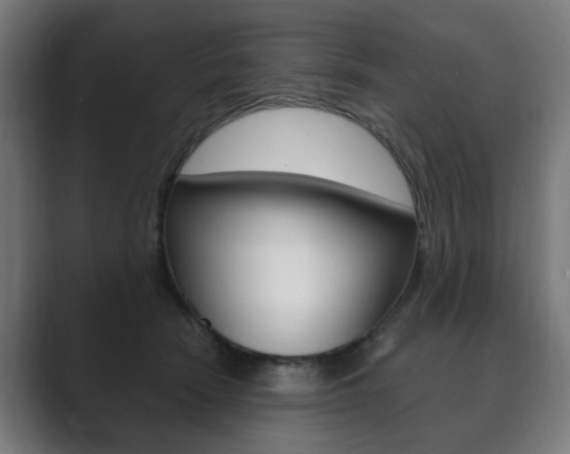 X0000089850466200706281024