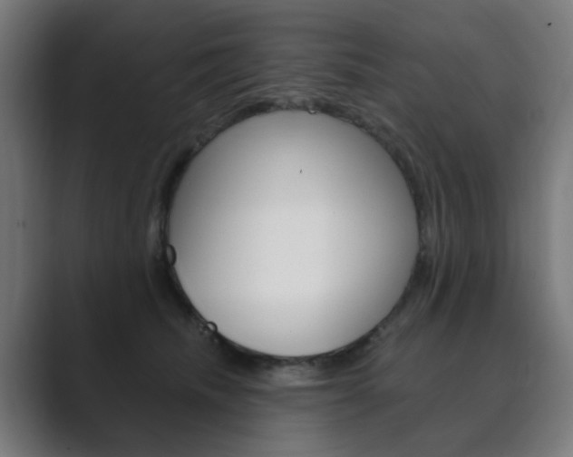 X0000089850468200706281024