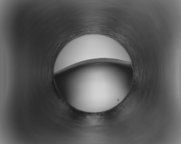 X0000089850470200706281024