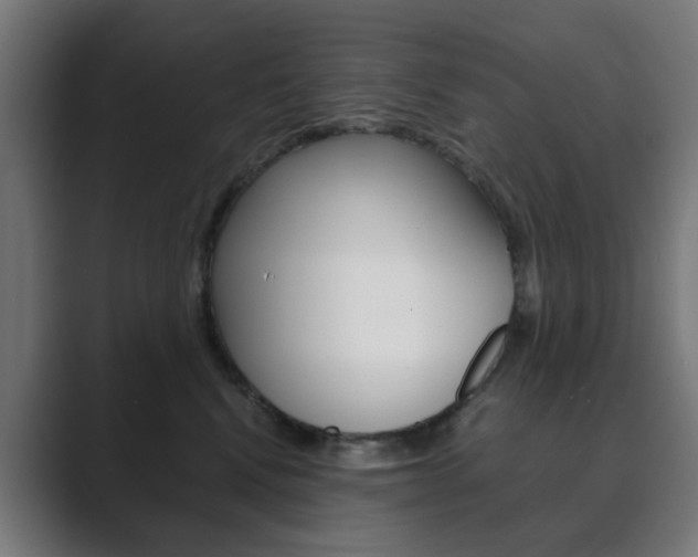 X0000089850472200706281024