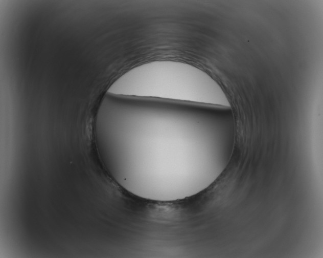 X0000089850475200706281024