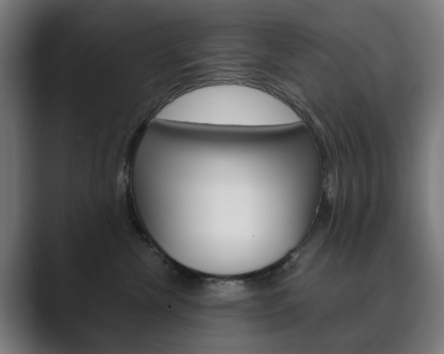 X0000089850476200706281024