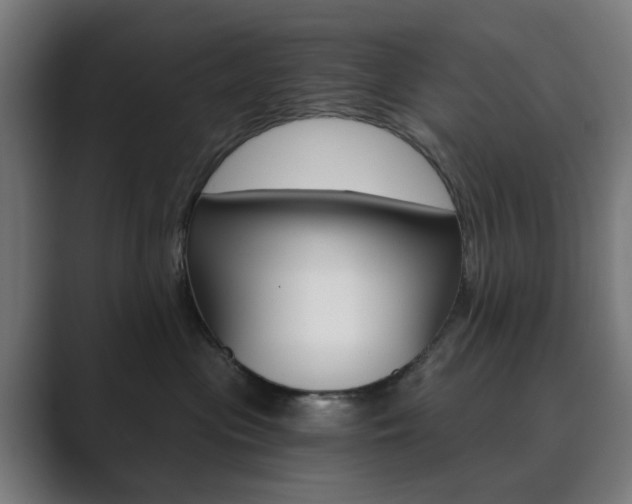 X0000089850477200706281024