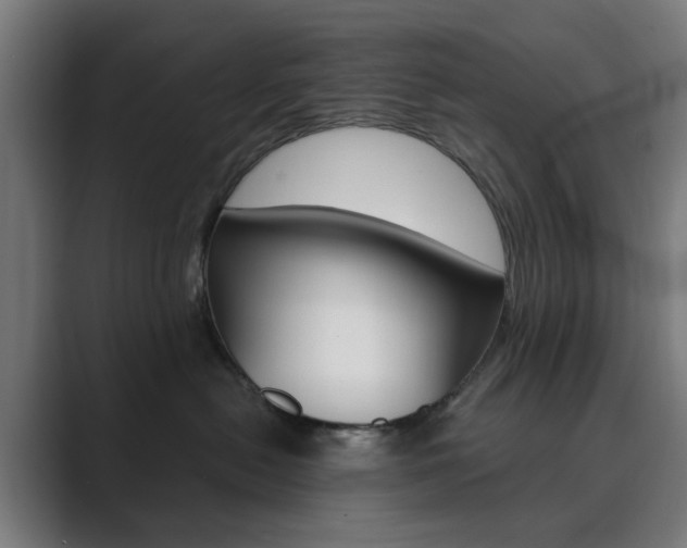 X0000089850478200706281024