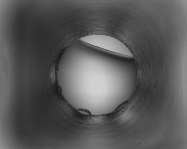 X0000089850479200706281024