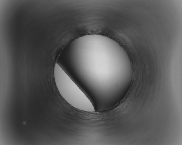 X0000089850480200706281024