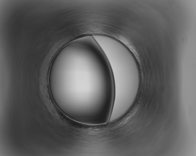 X0000089850481200706281024