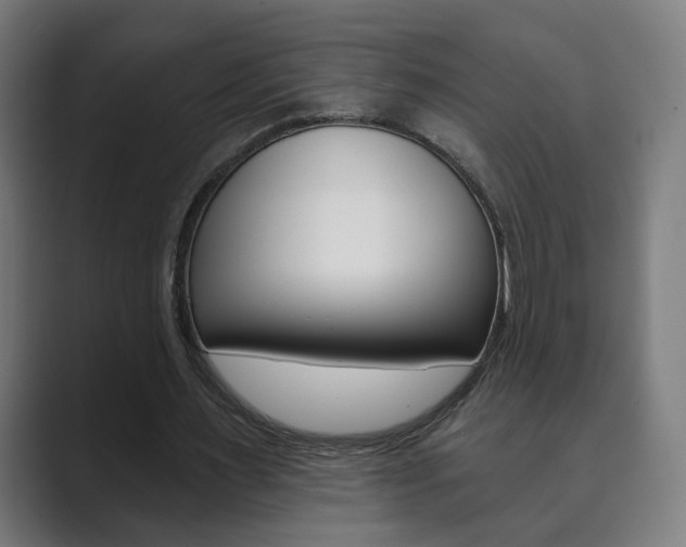 X0000089850483200706281024
