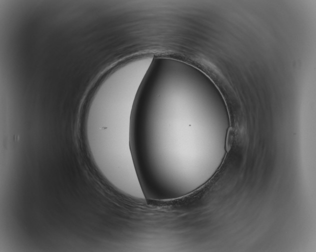 X0000089850484200706281024