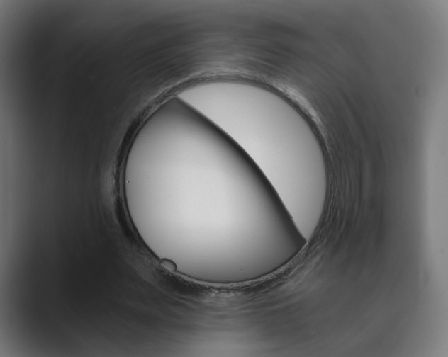 X0000089850487200706281024