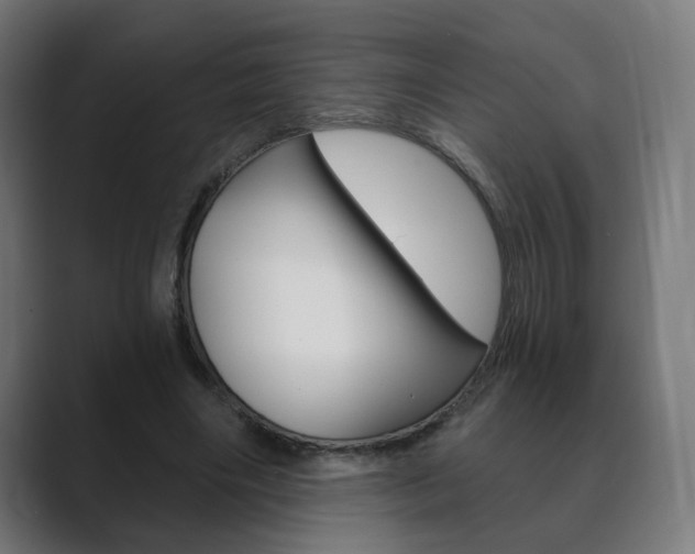 X0000089850490200706281023