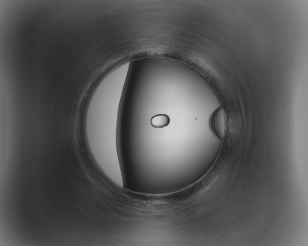 X0000089850492200706281023