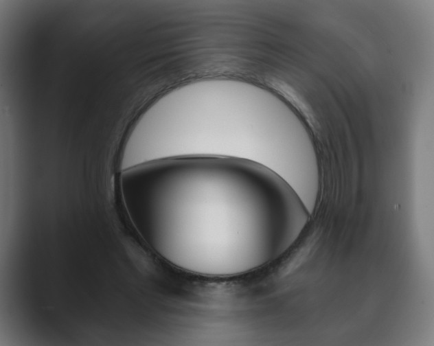 X0000089850493200706281023