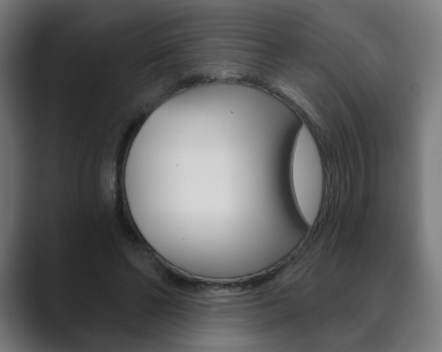 X0000089850494200706281023