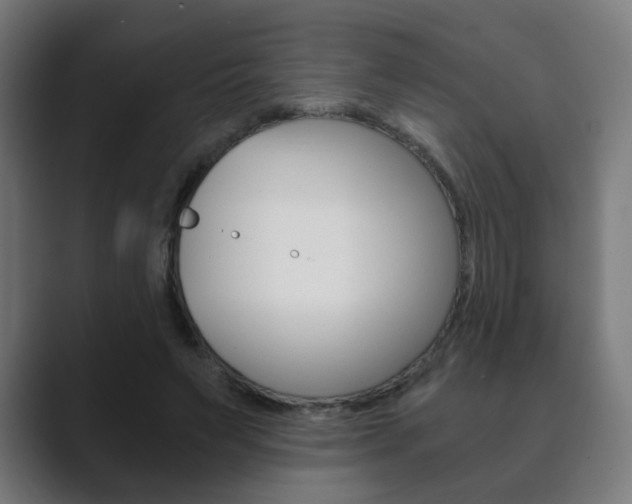 X0000089850495200706281023