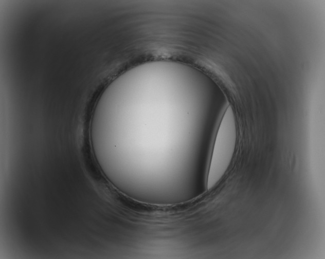 X0000089850496200706281023