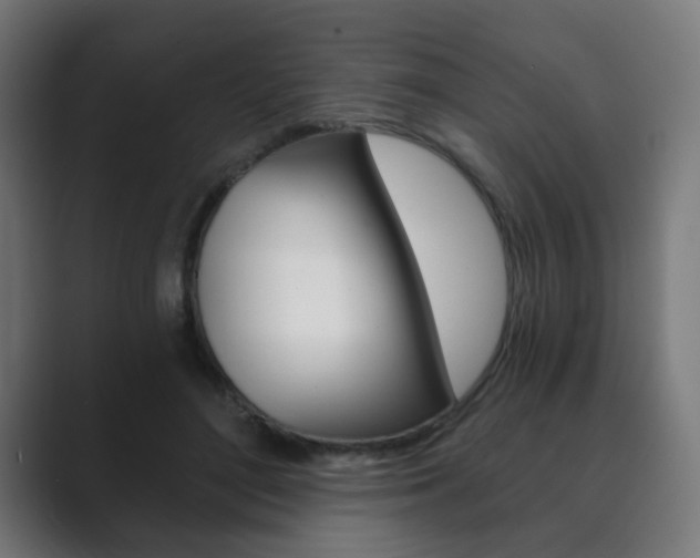 X0000089850500200706281023