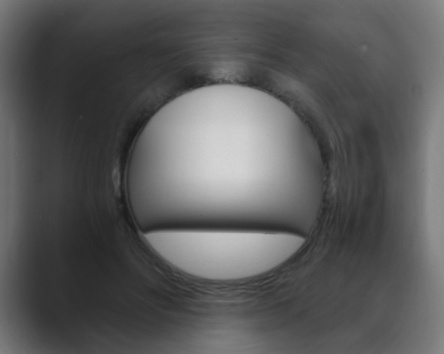 X0000089850502200706281023