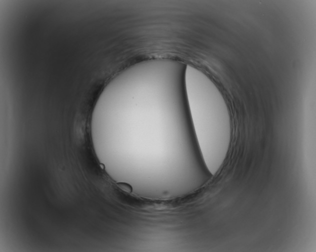 X0000089850503200706281023