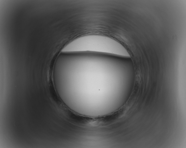 X0000089850504200706281023