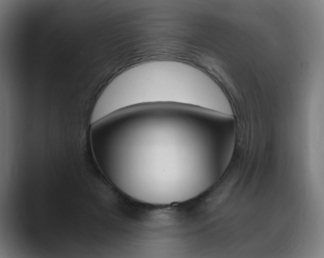 X0000089850505200706281023