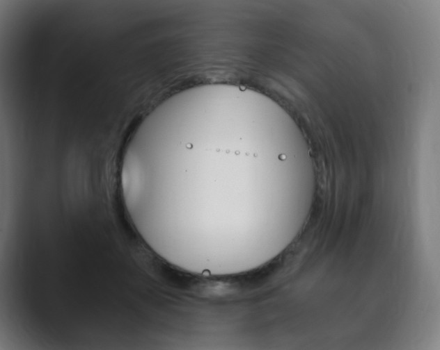 X0000089850507200706281023