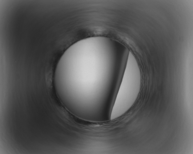 X0000089850509200706281023