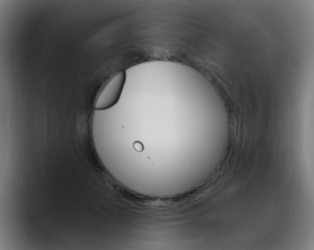X0000089850511200706281023