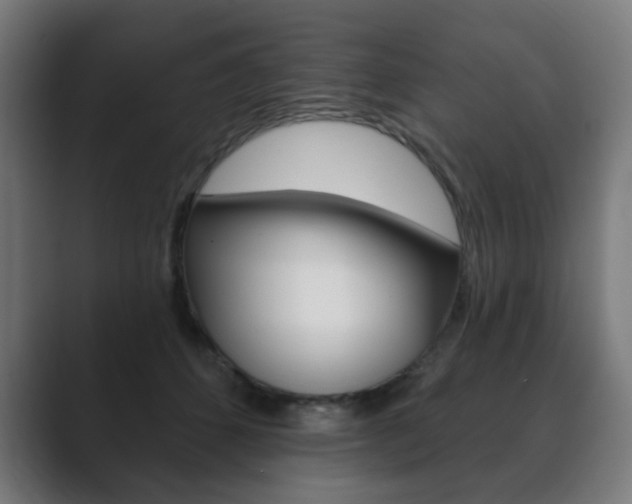 X0000089850512200706281023