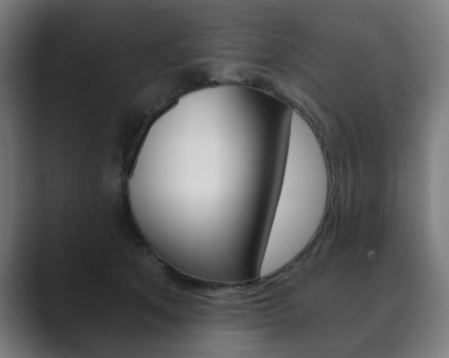 X0000089850513200706281023