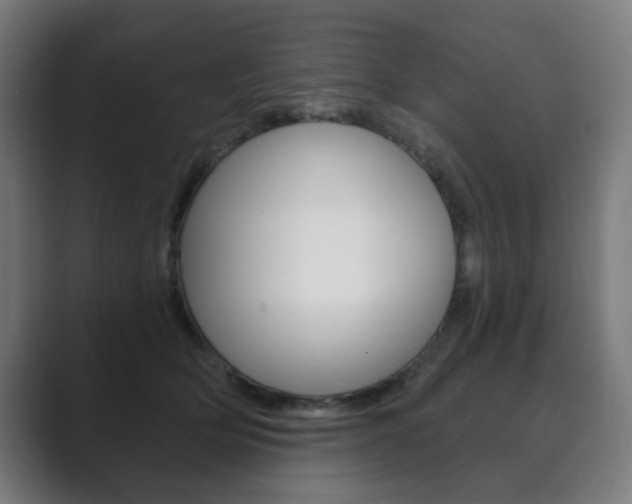 X0000089850514200706281023
