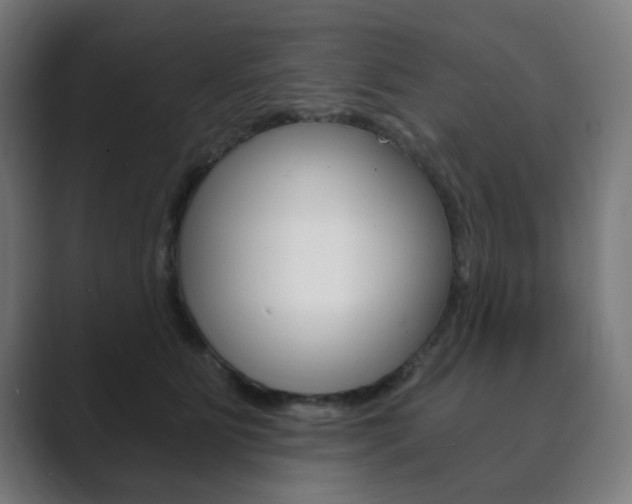 X0000089850515200706281023