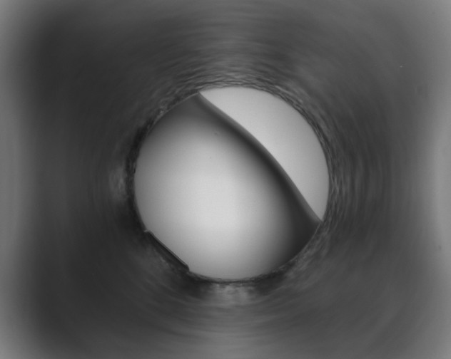 X0000089850520200706281023