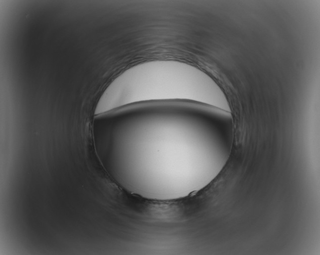 X0000089850521200706281023
