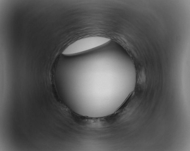 X0000089850524200706281023