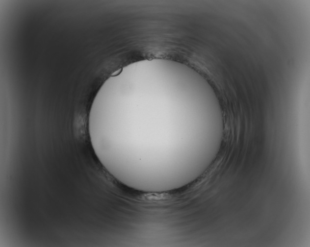 X0000089850526200706281023
