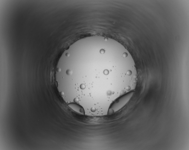 X0000089850527200706281023