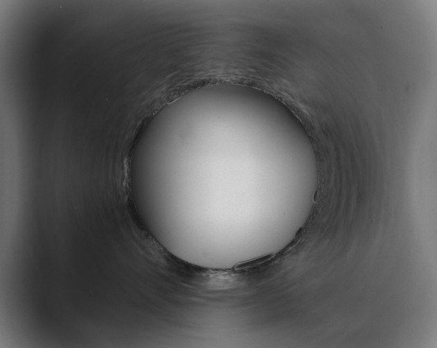 X0000089850528200706281023