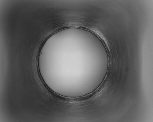X0000089850529200706281022