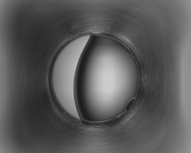 X0000089850530200706281022