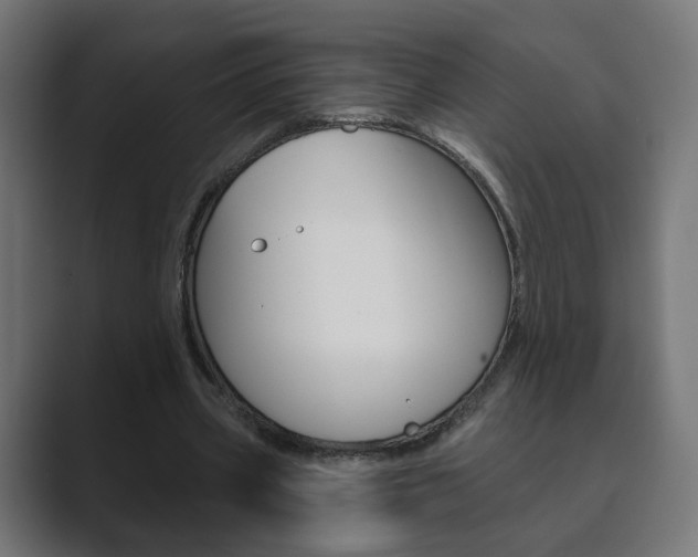 X0000089850533200706281022
