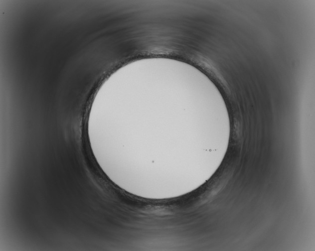 X0000089850534200706281022