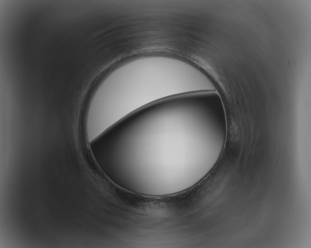 X0000089850535200706281022