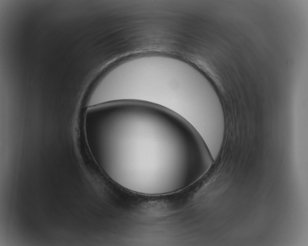 X0000089850536200706281022